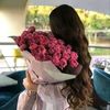 amira.mini19