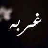 faysel.zoglami