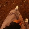 aliba.rg