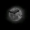moonlight_creations_