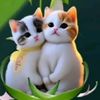 md.sojib.hasan6721