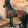 user9819479927965