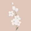hadeel.nasser56