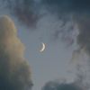 crescent_333