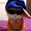 user.718900