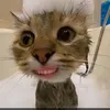 gdrviviii