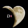 dorcace05