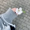 wada_12.26