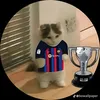 nguyenbinh_293