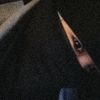 fionafiona427