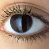 tebaferas2