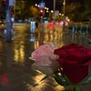 es_20074