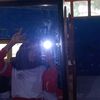 lyablmsembuh_