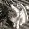 vixi_54