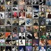marklee_402