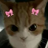 shauty_48