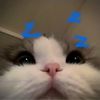 .ty037