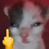 aslom927