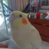 minh.thu7865