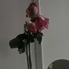 amna27094