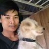 user429196107733