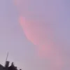 josi__5438