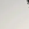 2610nl3533