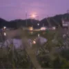ninzin_pi7
