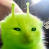 jiraaa4uuu_
