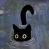 blackcat_inthewater