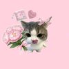 iqiss_imupp3