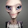 www.piska_1