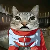 omnicat59