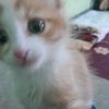 yazid.ziden