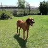 inge.kile