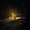 trushnikova_09111