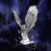 xlilz.12