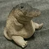 tupuh5