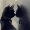 li_n1d