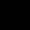 adrian.rogel012