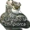 el.amigo8682