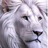 ا(◉‿◉)ابو اسد (✷‿✷)