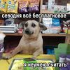 mawwximm_799_152__