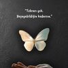 fidan80626