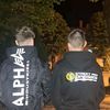 festimv20