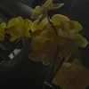 hi0713540