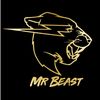 mrbeastshortclips2025