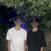 mbv_cs1