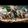 noureddine.larbi71
