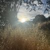natureguy39